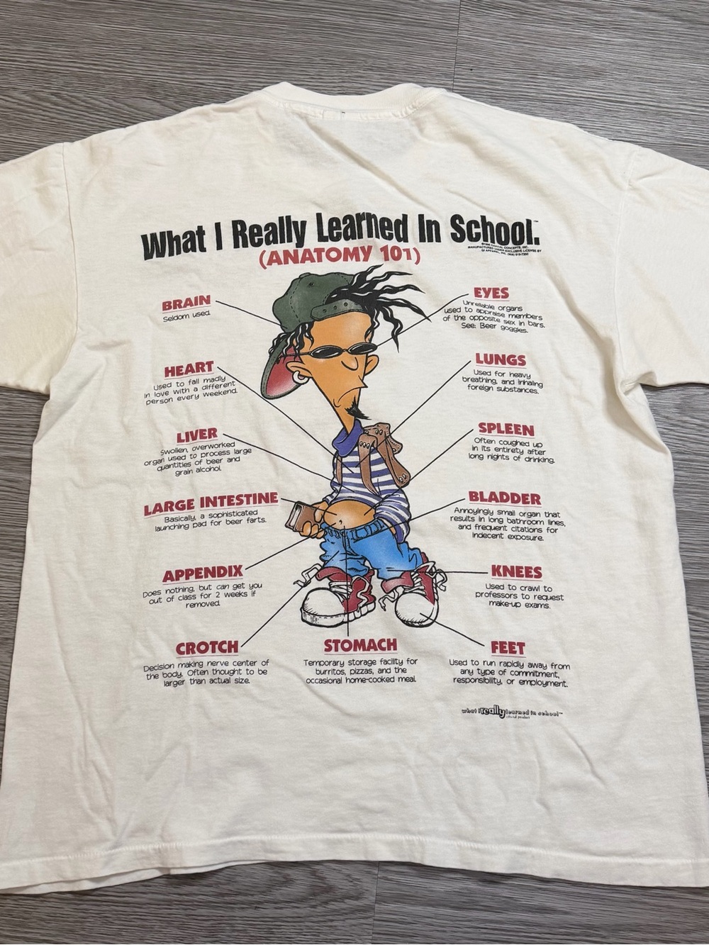 Vintage 90s 95 What I really Learned Anatomy College Slacker T-shirt Mens L USA